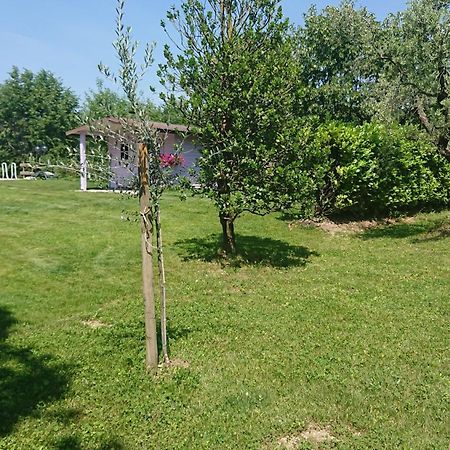 Il Carpino Bianco Bilocale Apartment Puegnago Phòng bức ảnh
